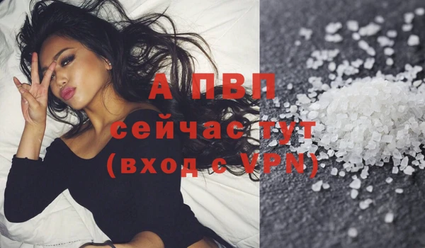 сатива Верея