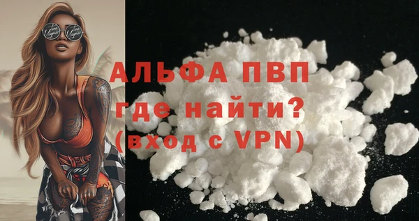сатива Верея